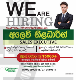 අලෙවි නිළධාරීන් SALES EXECUTIVE header image
