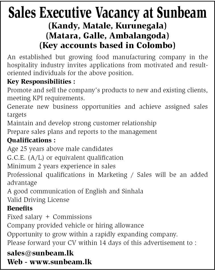 Sales Executive header image