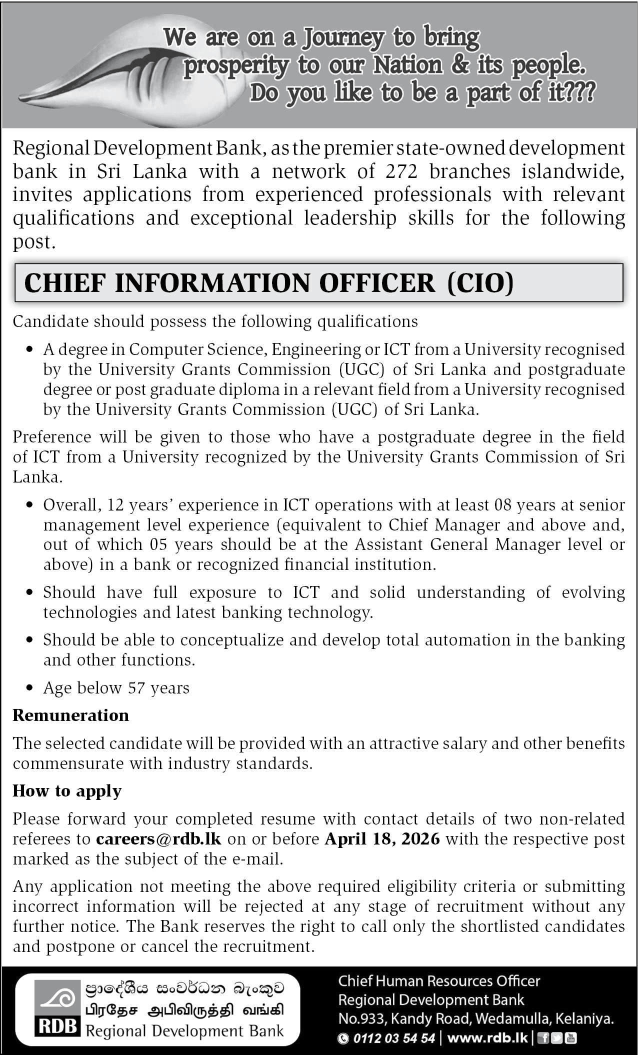 CHIEF INFORMATION OFFICER  header image