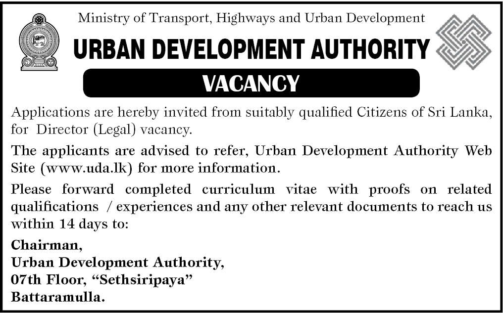 Director header image