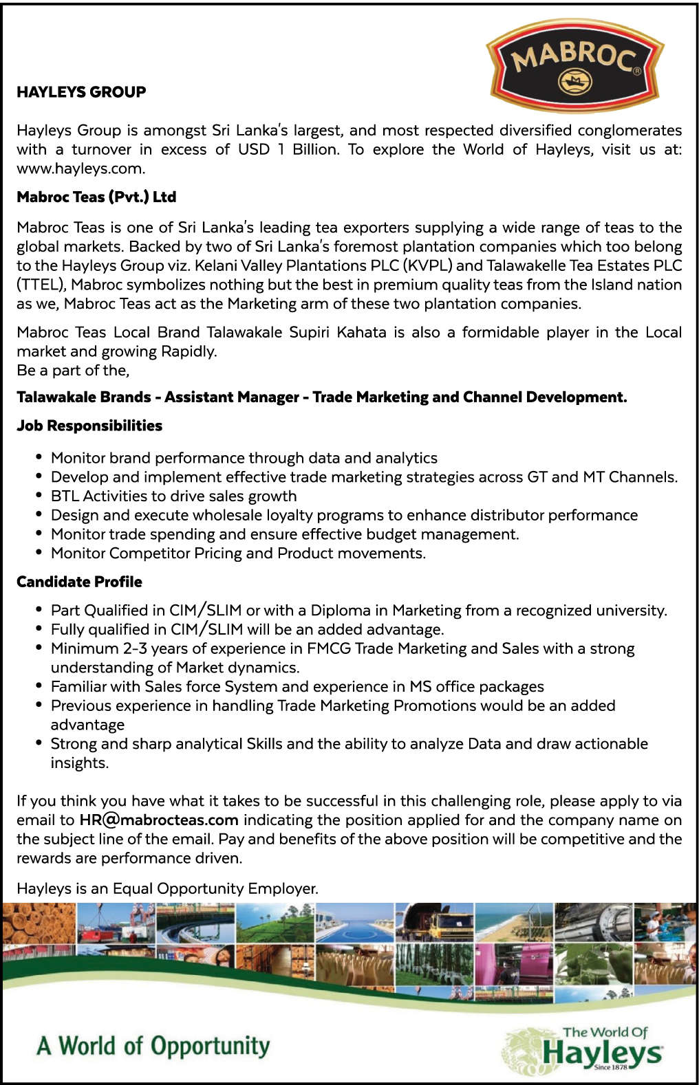 Trade Marketing header image