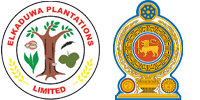 Elkaduwa Plantation Limited logo