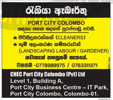 CLEANERS header image