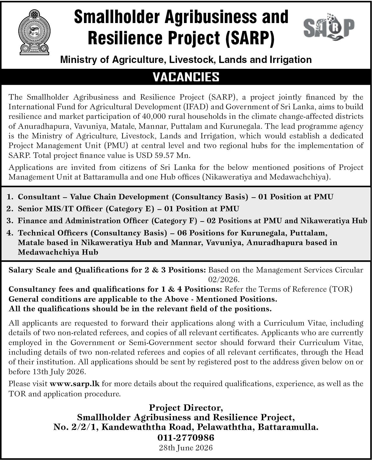 Senior MIS/IT Officer (Category E) header image