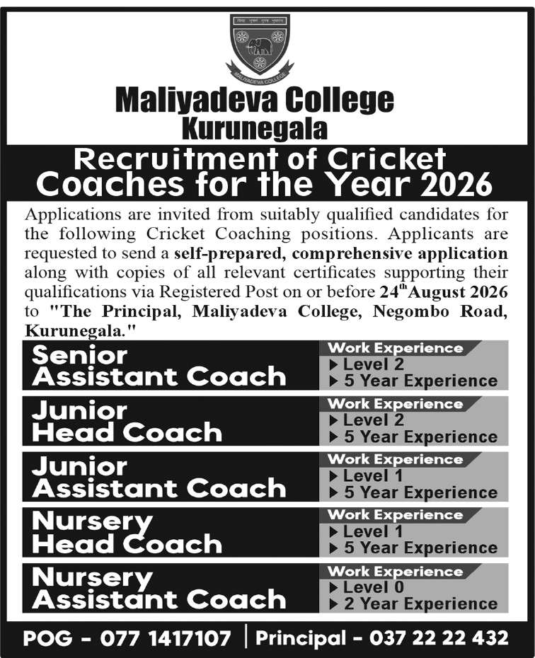 Nursery Head Cricket Coach header image